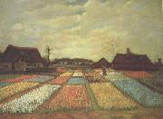 Vincent Van Gogh Bulb Fields (nn04) oil